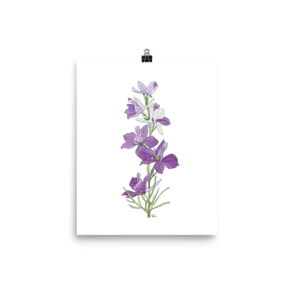 Larkspur - Art Print